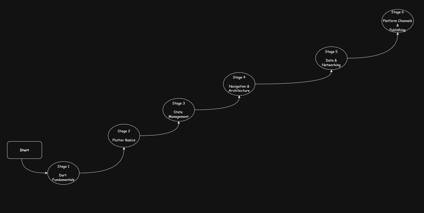 Full Roadmap illustration showing all the stages involved in getting the skills to get a cross-platform dev role