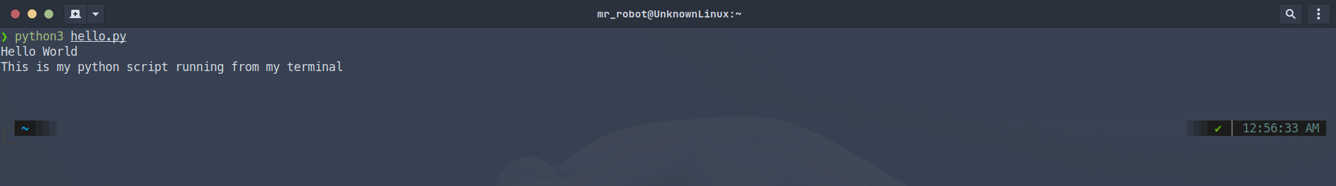 Python running in terminal