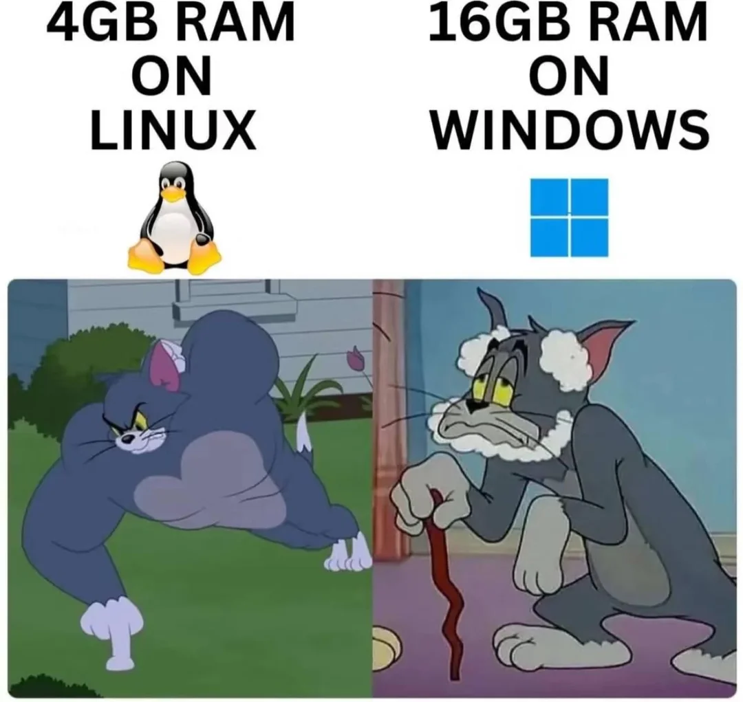 RAM usage comparison between Ubuntu and Windows 11 on a fresh install