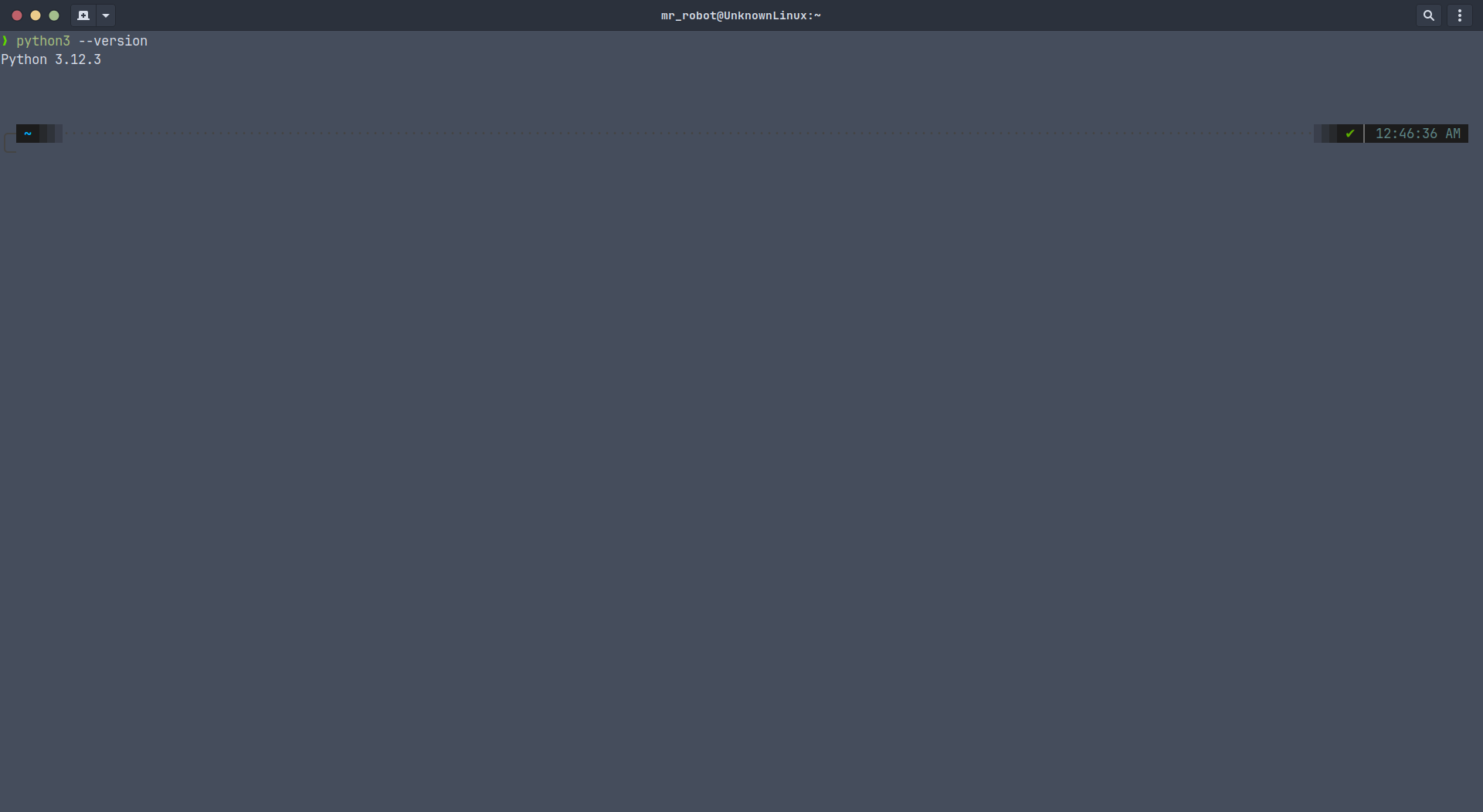 Terminal showing python version