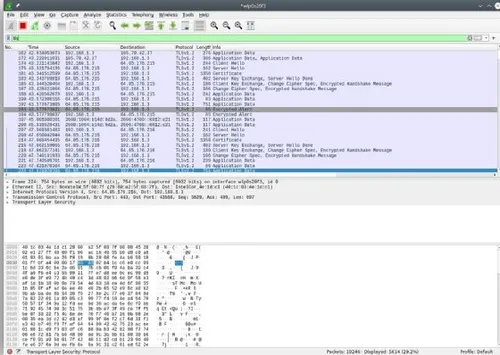 Wireshark Interface